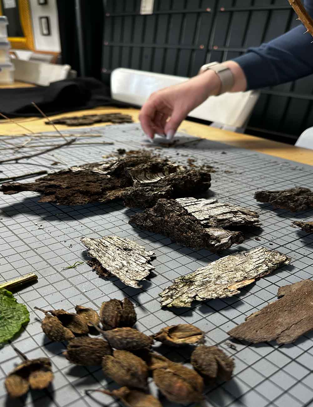 🌿 Natur-Stempel-Workshop in Hamburg – Kreativität trifft Natur