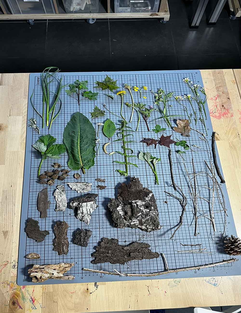🌿 Natur-Stempel-Workshop in Hamburg – Kreativität trifft Natur